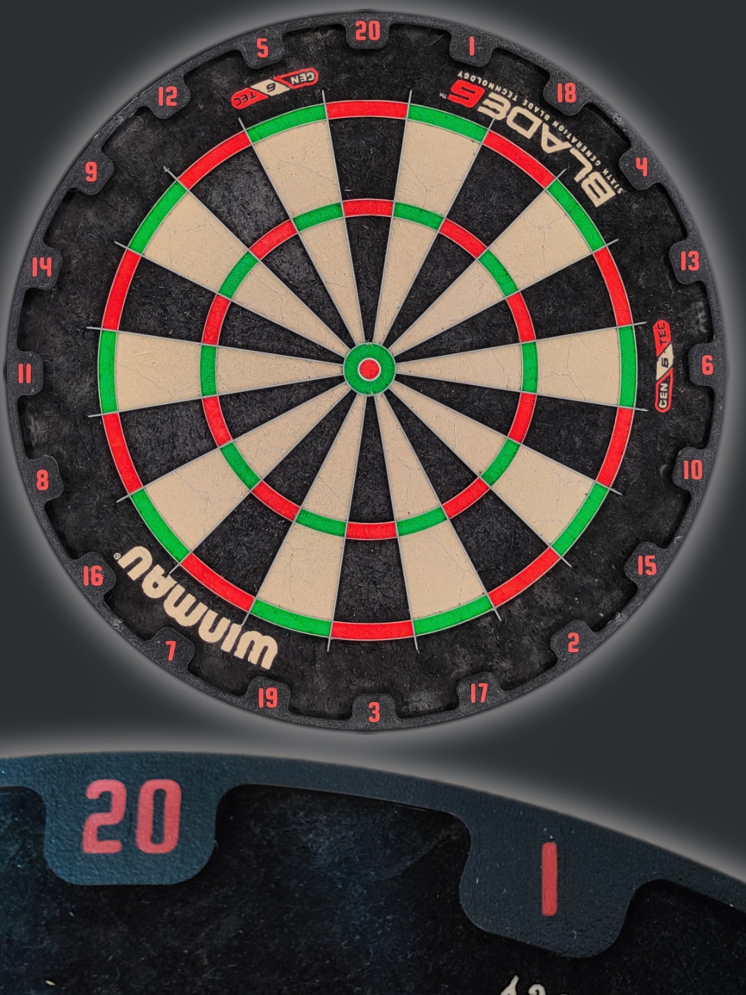 Dartboard number ring (TOR STYLE)